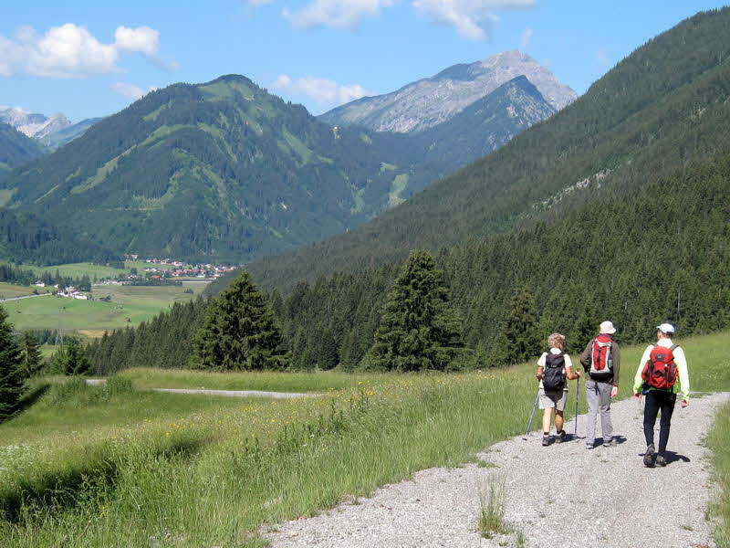 Bichlbacher Alm  01