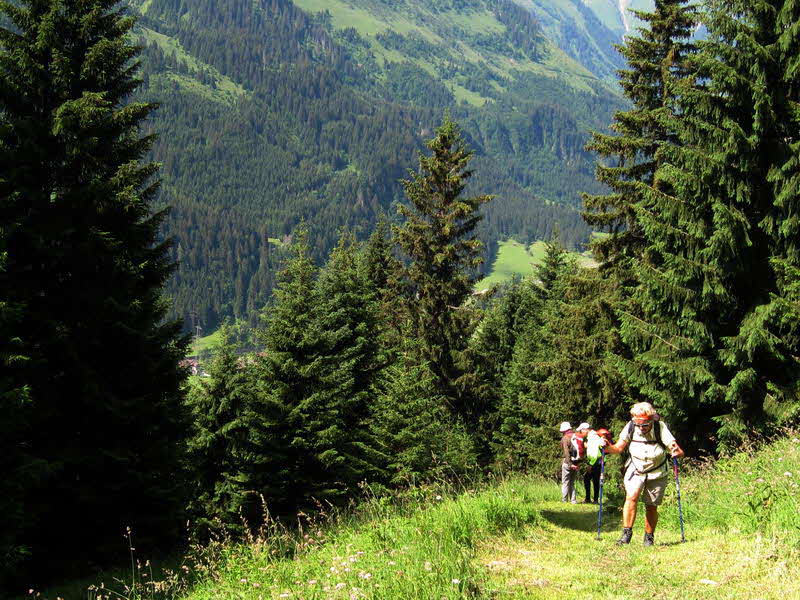 Bichlbacher Alm  02