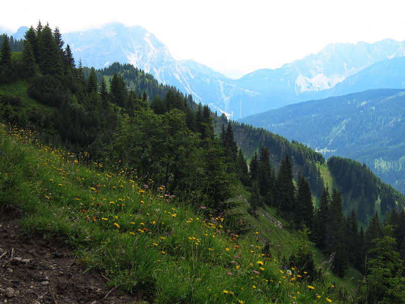 Bichlbacher Alm  09