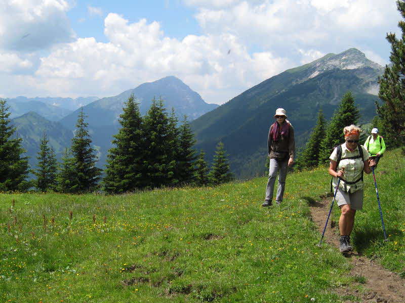 Bichlbacher Alm  11