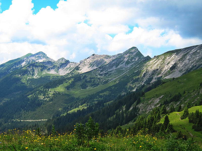 Bichlbacher Alm  13