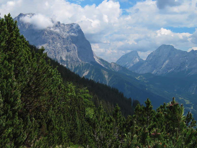 Bichlbacher Alm  18