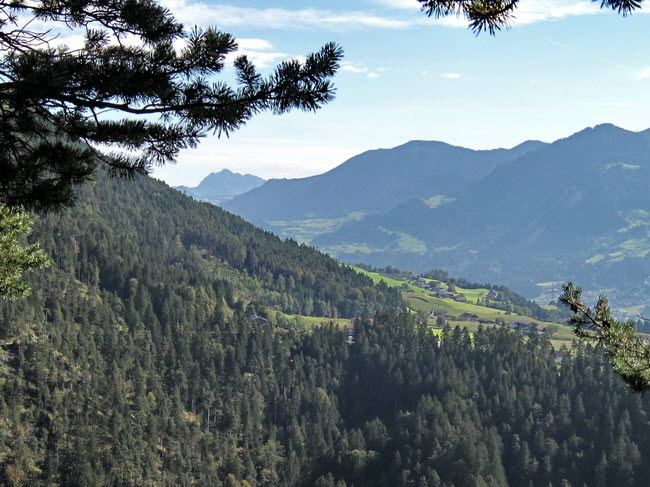 Gan- und Walderalm 02_resize Gan- und Walderalm 02_resize