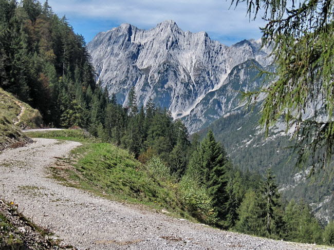 Gan- und Walderalm 18_resize Gan- und Walderalm 18_resize