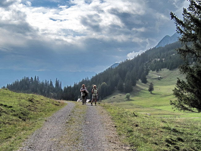 Gan- und Walderalm 38_resize Gan- und Walderalm 38_resize