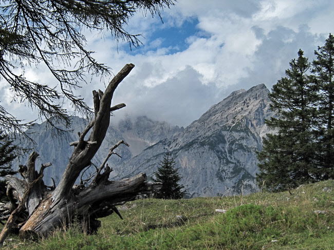Gan- und Walderalm 41_resize Gan- und Walderalm 41_resize