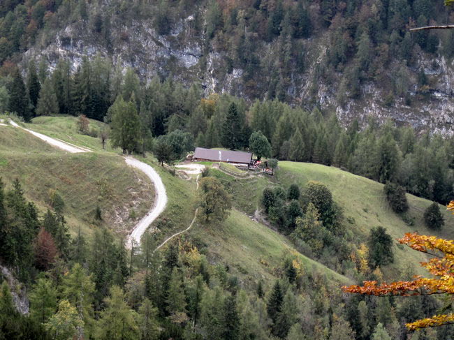 Gan- und Walderalm 45_resize Gan- und Walderalm 45_resize