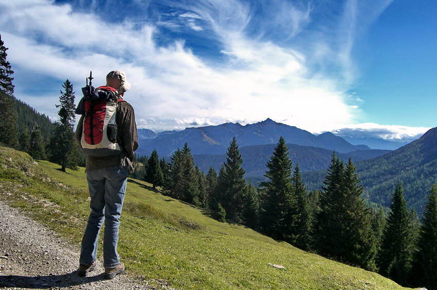 Rotmoosalm 02 Rotmoosalm 02