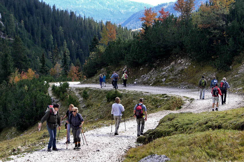 Rotmoosalm 04 Rotmoosalm 04