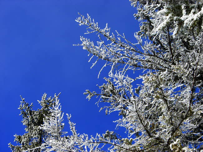 Rotwandhaus 01 Rotwandhaus 01