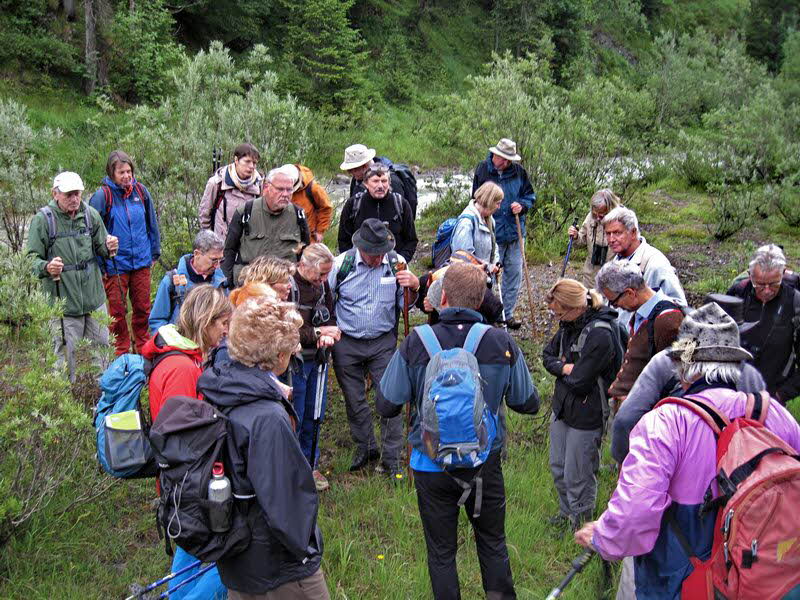 Sch�nleitenalm  20