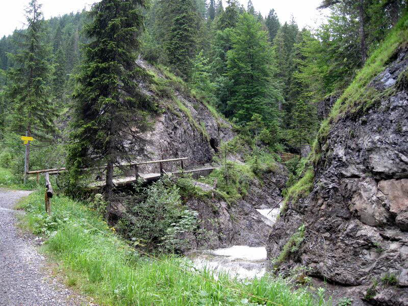 Sch�nleitenalm  22