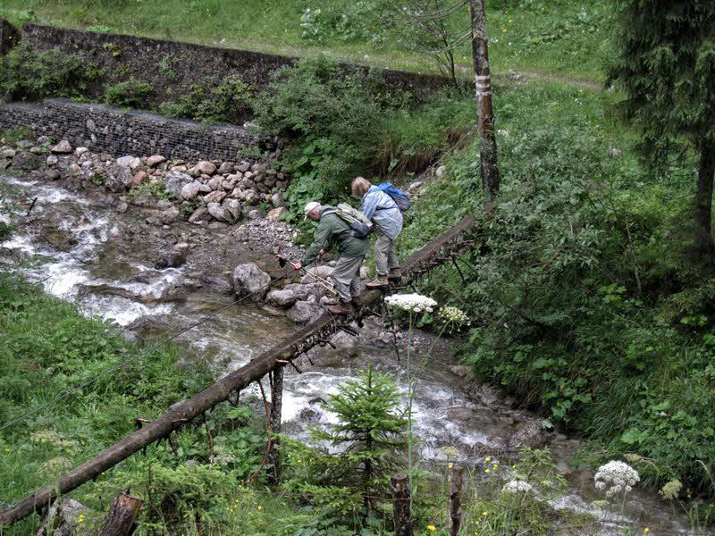 Sch�nleitenalm  24