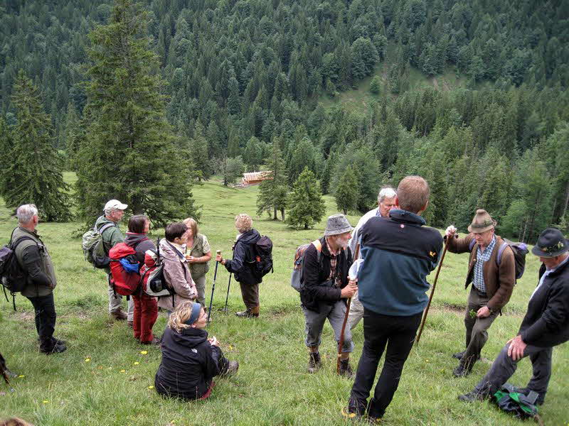 Sch�nleitenalm  26