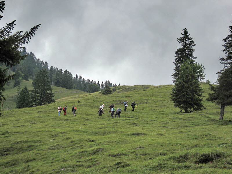 Sch�nleitenalm  27