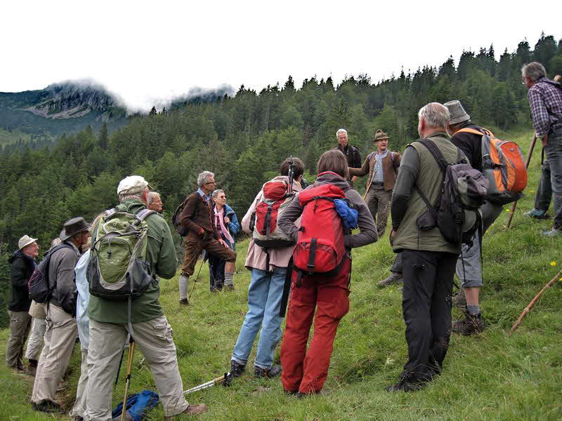 Sch�nleitenalm  28