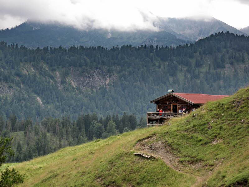 Sch�nleitenalm  31