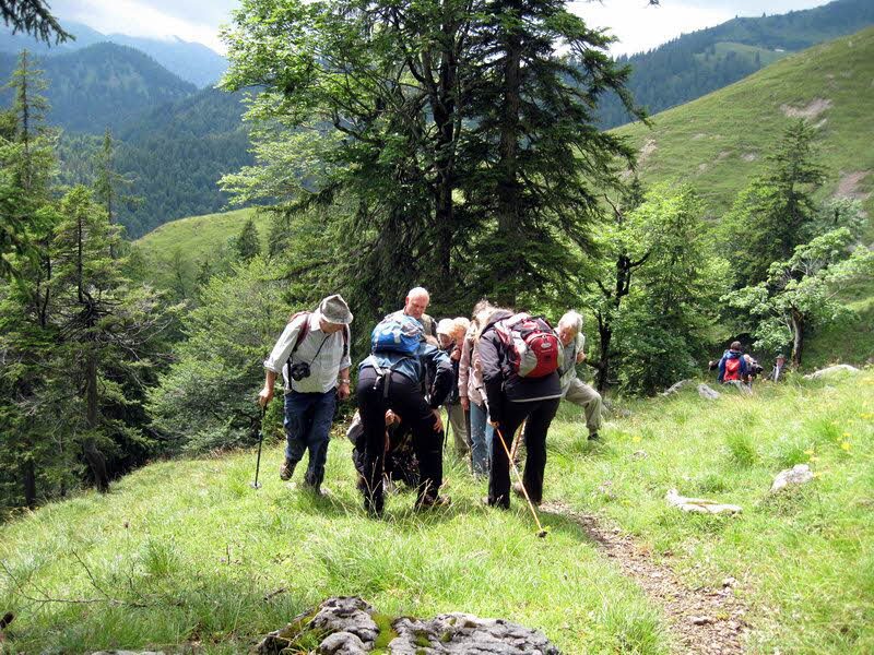 Sch�nleitenalm  32