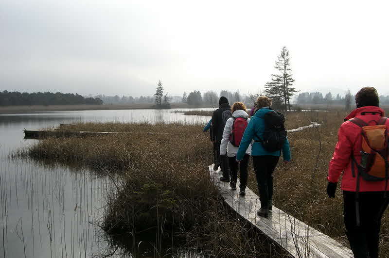 Jahresrückblick 2015 - 25 Jahresrückblick 2015 - 25