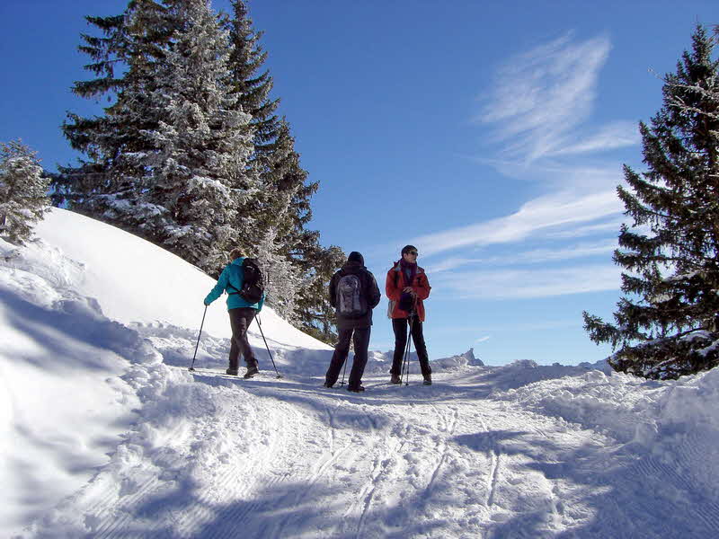 Jahresrückblick 2015 - 33 Jahresrückblick 2015 - 33