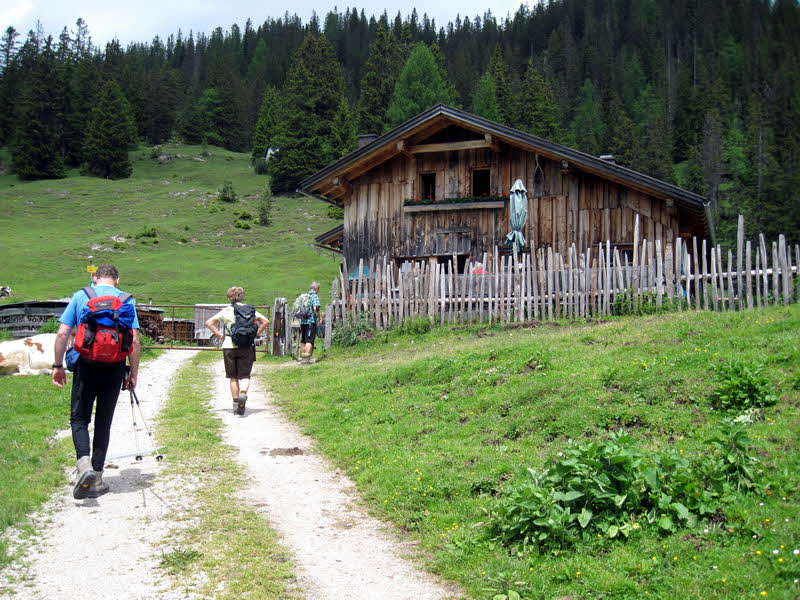 Oberbrunnalm Oberbrunnalm